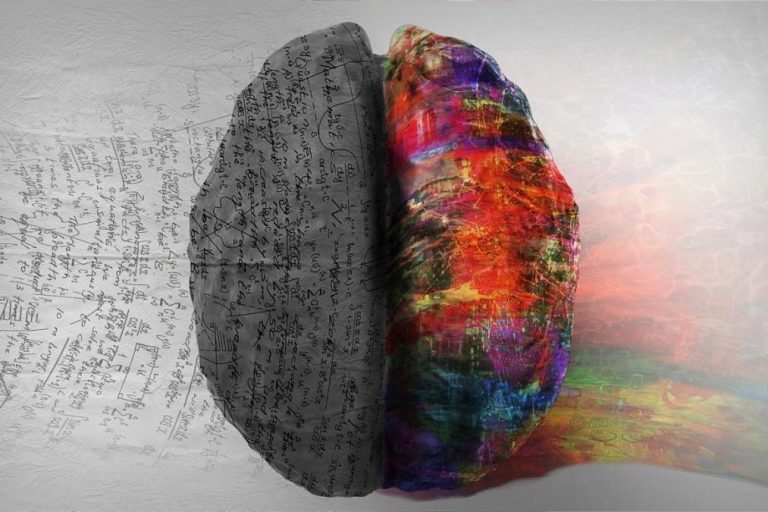 my_undergraduate_experience