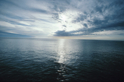 Simon Joscelyne butterfly swimmer