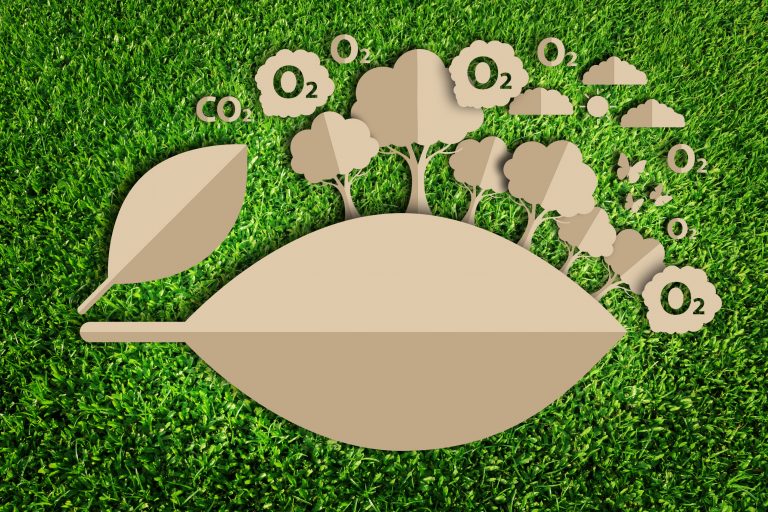 shutterstock_354493109