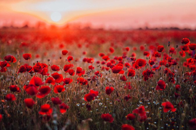 Bangka Island Nurse honoured in Last Post Ceremony