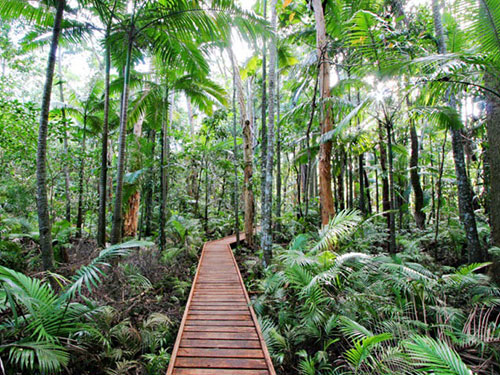 The Cairns Botanic Gardens - Carins, Australia