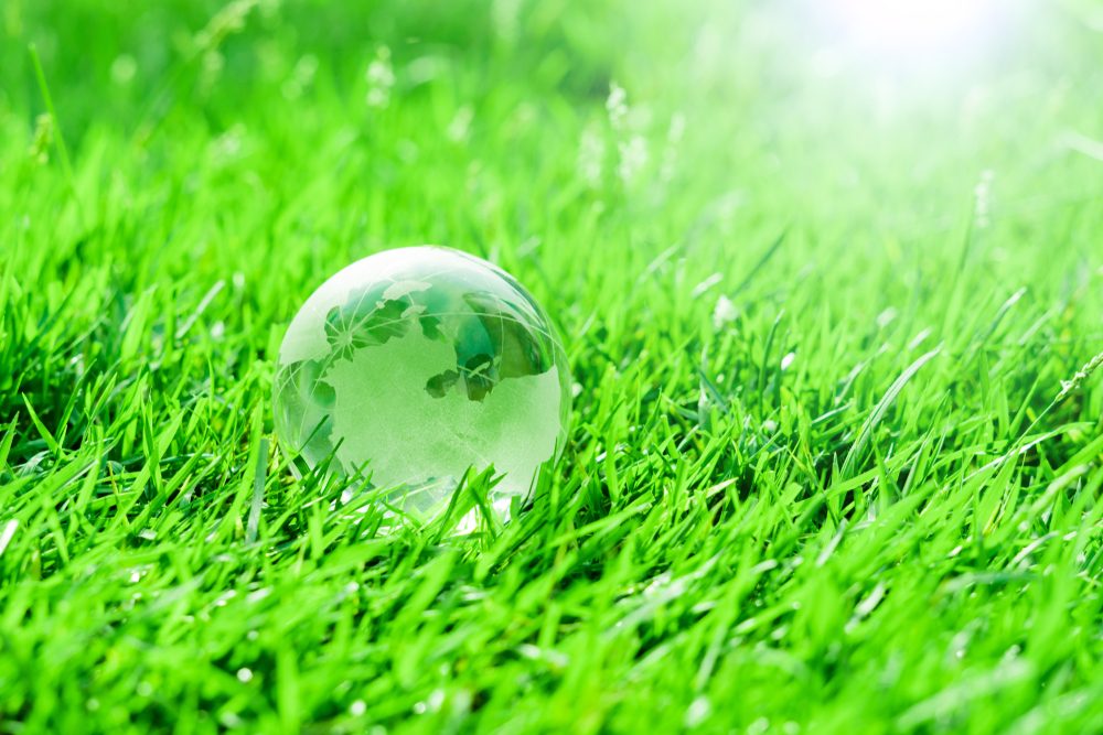 climate-crisis-and-change-management-in-nursing-a-personal-journey (2)