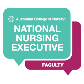 National Nursing Executive Faculty