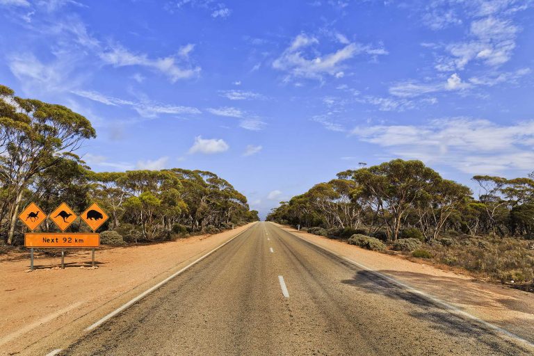 A letter to a new remote nurse A letter to a new remote nurse