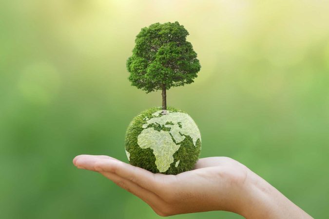 One Health in practice: How nurses can lead sustainable change