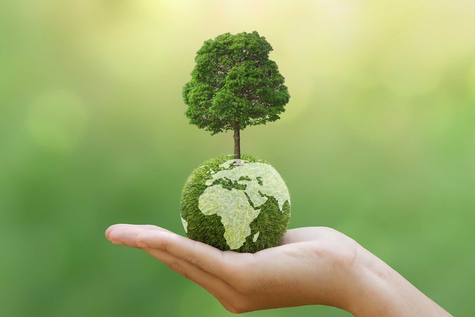 One Health in practice: How nurses can lead sustainable change One Health in practice: How nurses can lead sustainable change