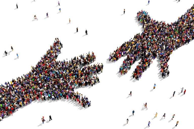 The power of a nursing buddy The power of a nursing buddy