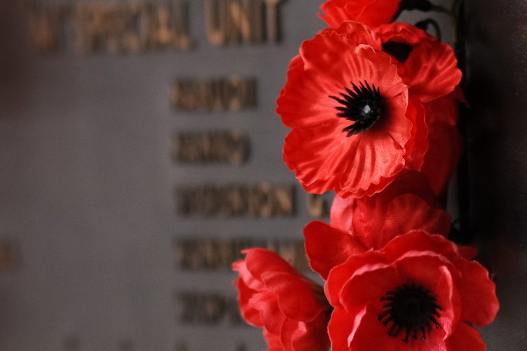 remembrance-day-poppies-nurseclick-1080×1080