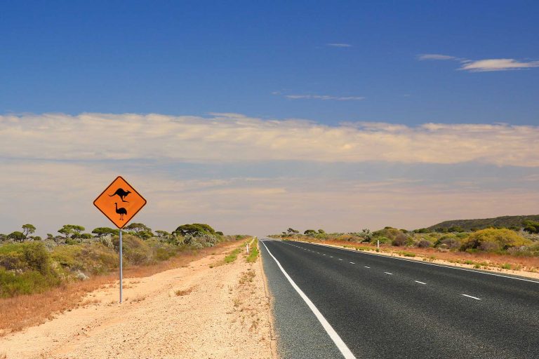 What does it mean to become a remote nurse? What does it mean to become a remote nurse?