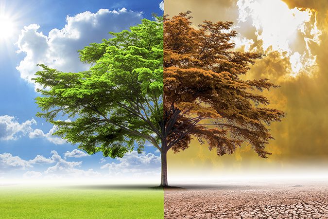 The Hive: climate change